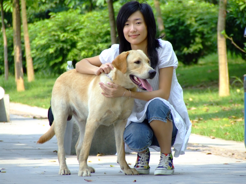 风中的绿叶的第一张照片--广州红颜知己交友网